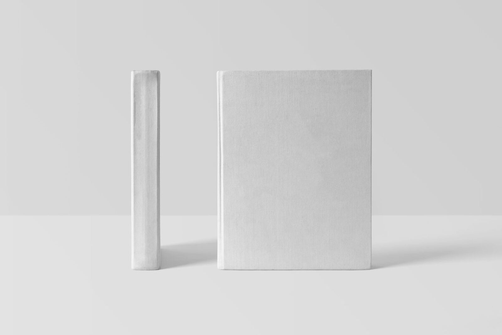 Deux livres blancs sans titre, présentés debout sur fond gris